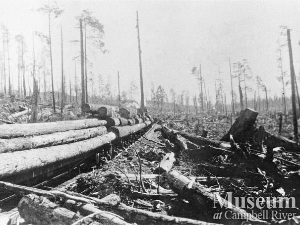 Load of logs near International Timber Co. Camp 2