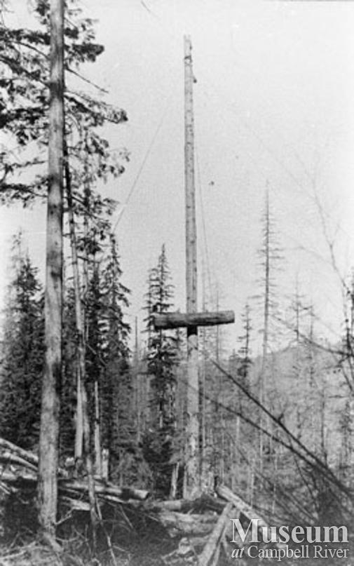 Quadra Island logging operation
