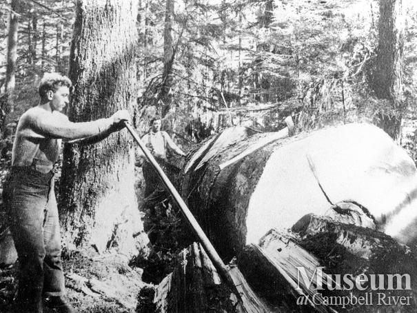 Hammond Logging Co. in Granite Bay, Quadra Island