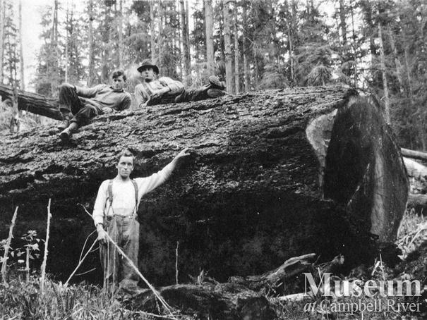 Hyacinthe Bay, Quadra Island
