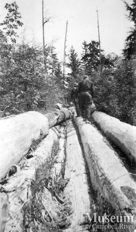 Logging flume on Thurlow Island