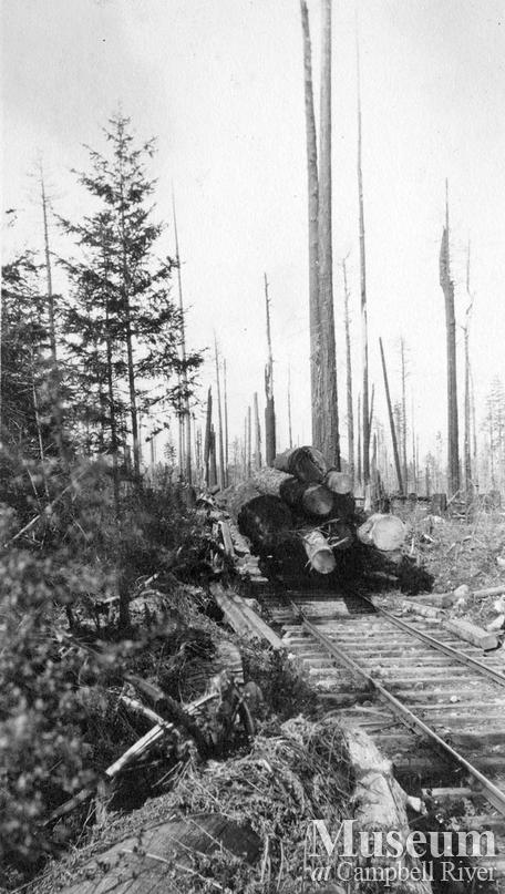 Abbott Timber Co.logging operations