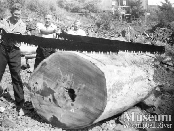 A bucking contest at Gowland Harbour