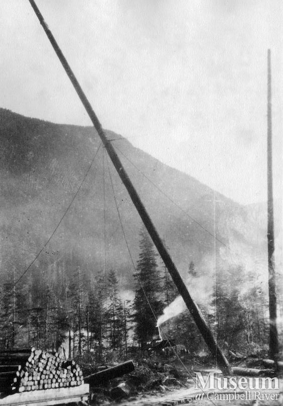 Bloedel, Stewart and Welch operations