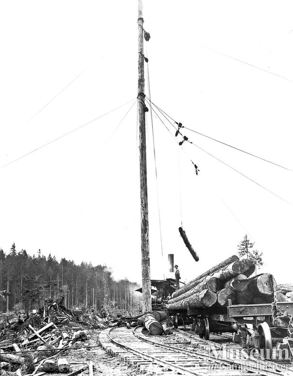 Spar tree at work loading a railcar in Elk Bay