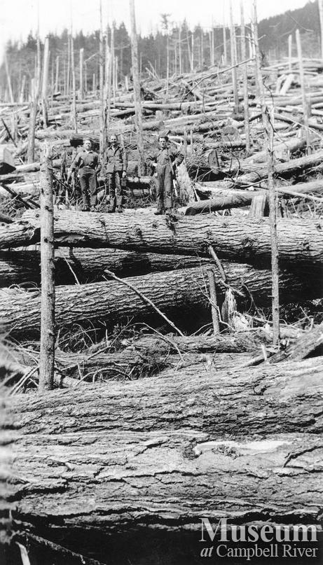Logger in fallen timber near Menzies Mountain