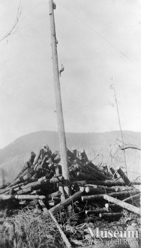 Lamb Lumber Co. operations at Menzie's Bay