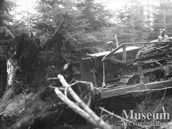 Caterpillar logging on Quadra Island