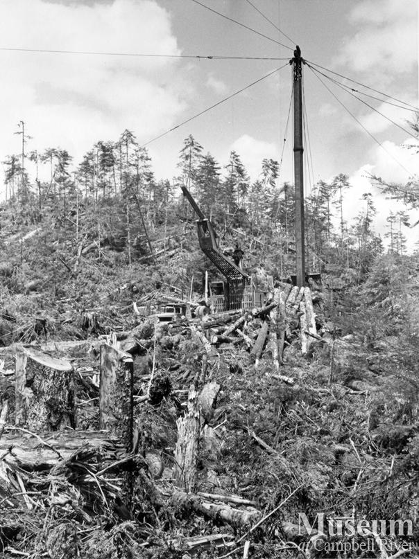 Logging with a steel spar in the Campbell River area