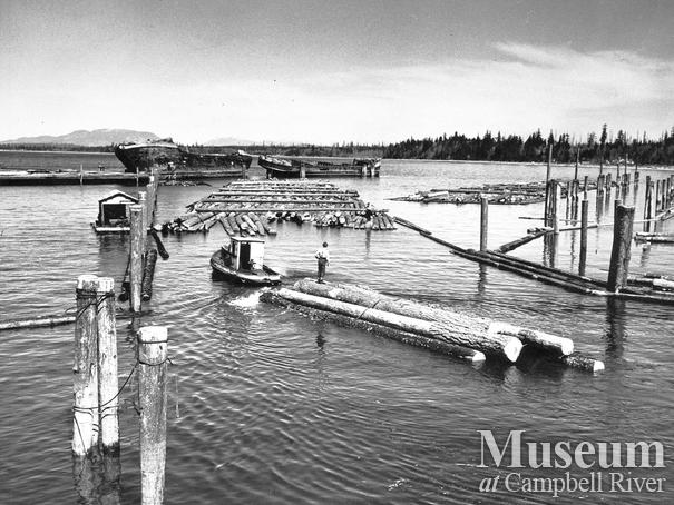 Booming grounds at Oyster Bay  