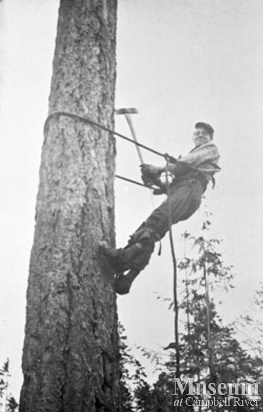 Bloedel, Stewart and Welch operations near Camp 5