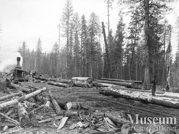 An Empire steam donkey working as roader and loader