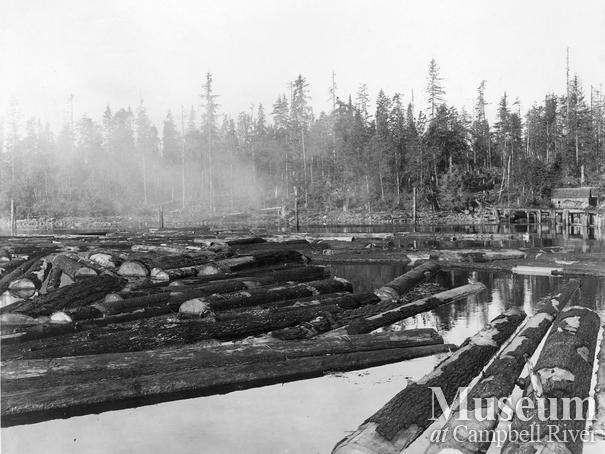 Log booms at Menzie's Bay