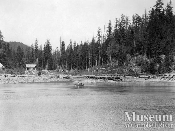 An abandoned logging camp