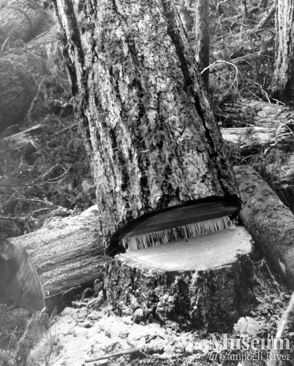 Canadian Forest Products Ltd. Camp at Woss