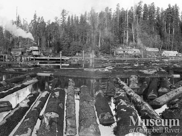 View of logging camp from the water