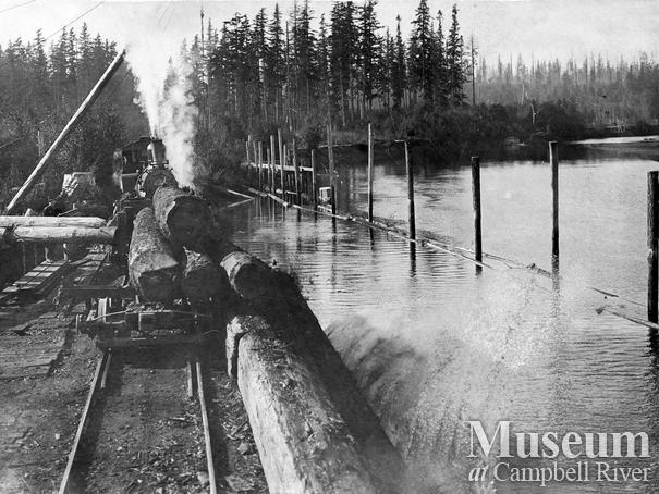 International Timber Co. log dump