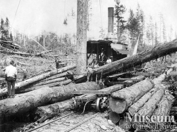 Log loading at Elk River Timber Co. operations