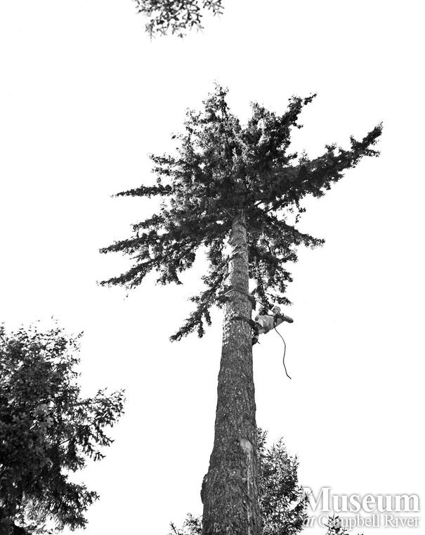 Labour Day Logger Sports at Campbell River