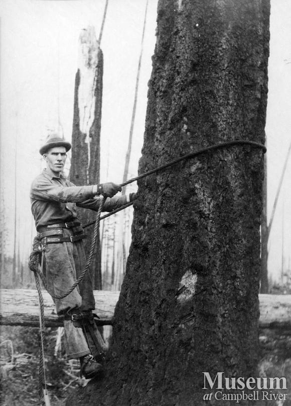 Preparing to climb a spar tree