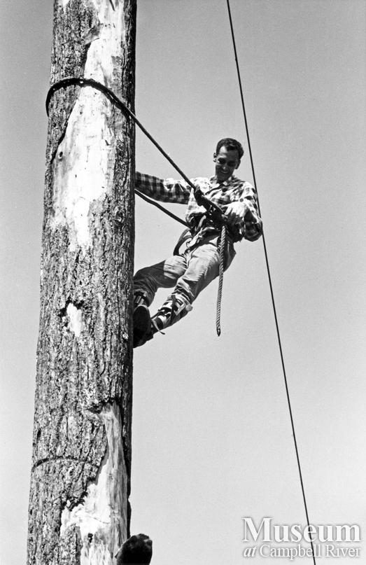 Ernie Alexander, champion tree climber 