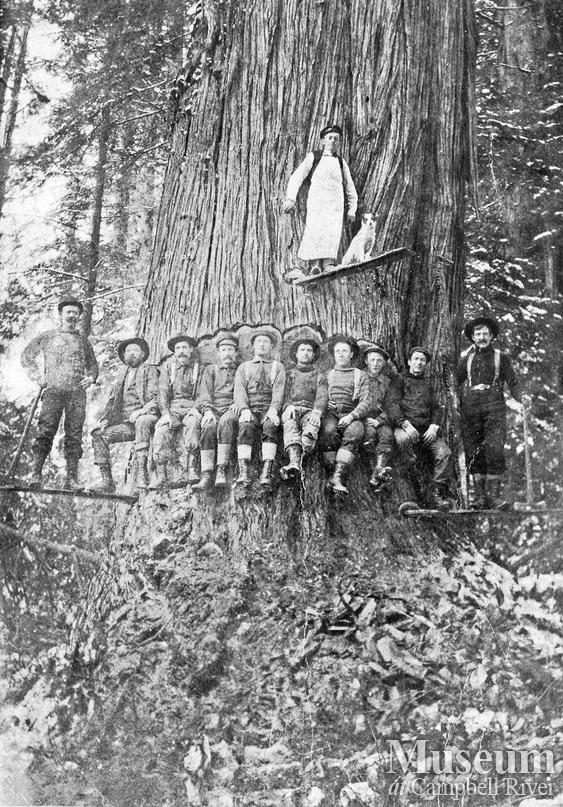 Bendickson Logging crew on Broughton Island