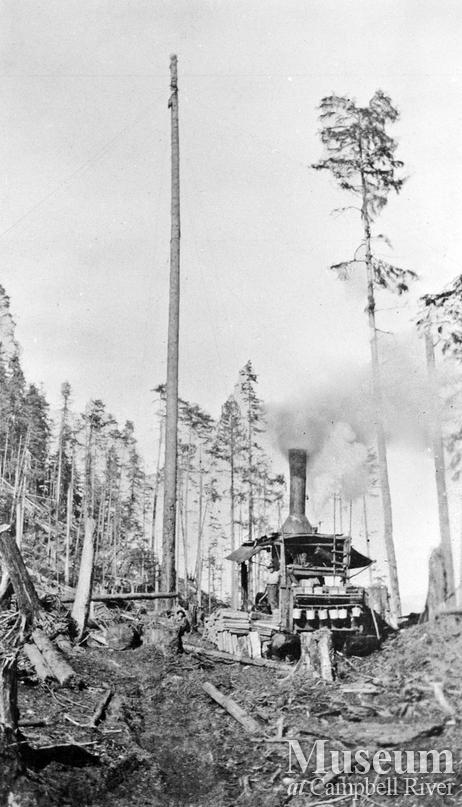 Steam donkey and spar tree used by Bendickson Logging
