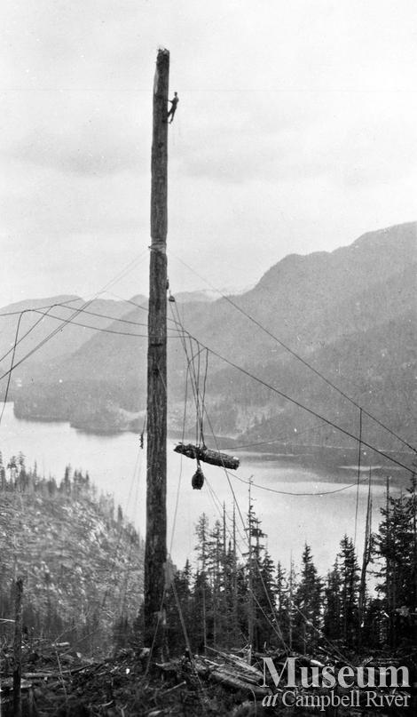 Spar tree accident at Bendickson Logging