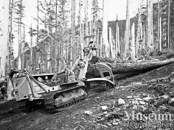 Cat logging operations at Bendickson Logging