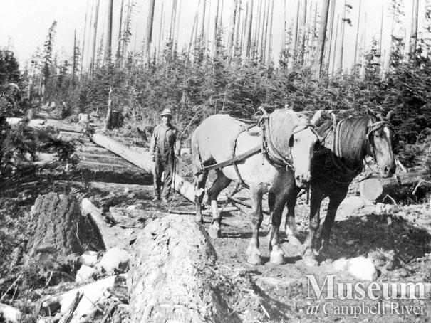 Bendickson Logging on Hardwicke Island 