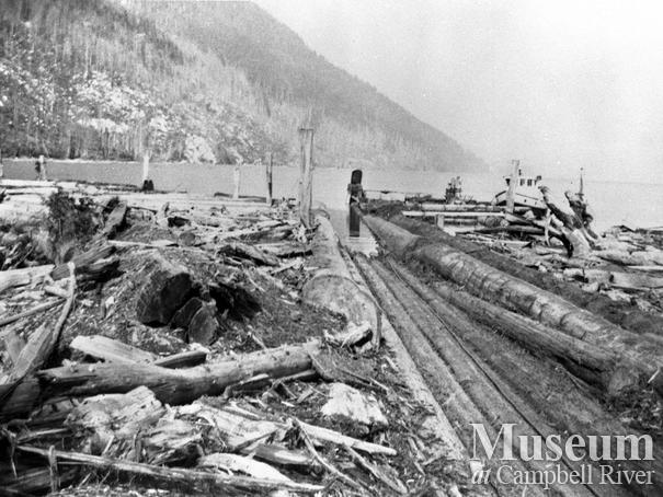 Logging at Heydon Lake