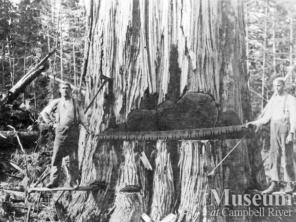 Two hand fallers from Bendickson Logging