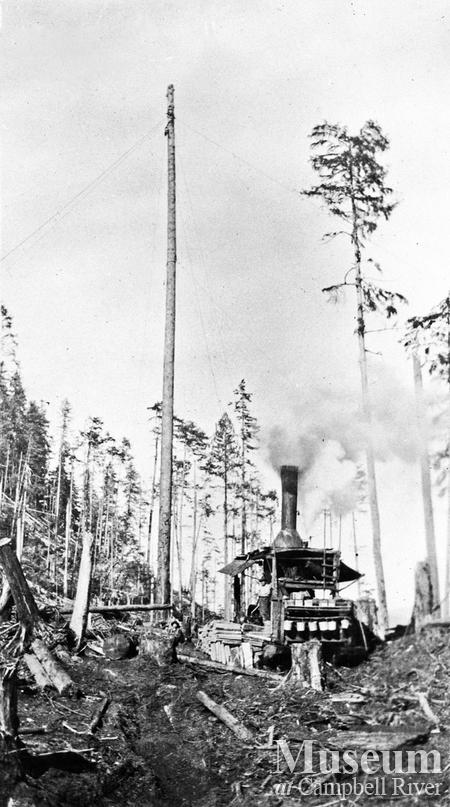 Donkey and spar tree at Bendickson Logging operations 
