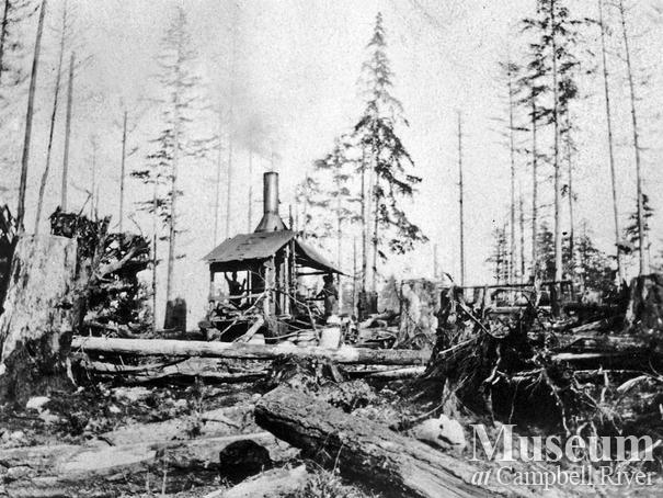 Steam donkey in operation likely on Quadra Island