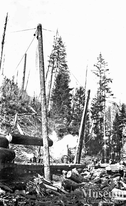 Loading logs at Elk River Timber Co operations