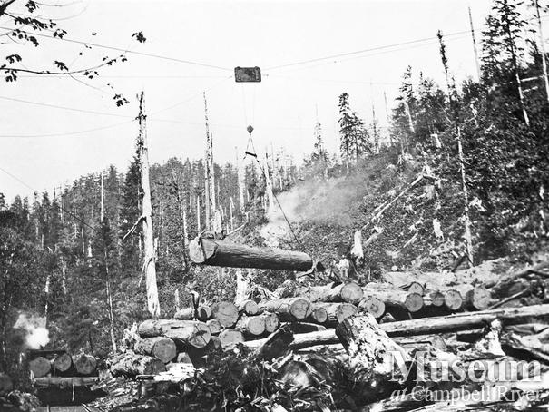 Loading logs at Elk River Timber Co operations