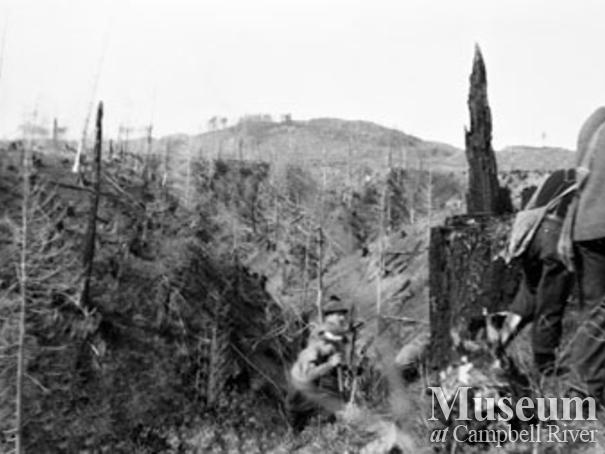 Tree planters at work near Campbell River