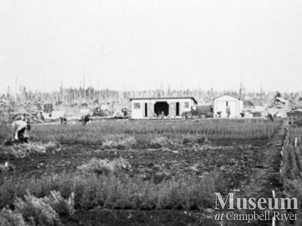 Green Timbers Forestry Station in Surrey