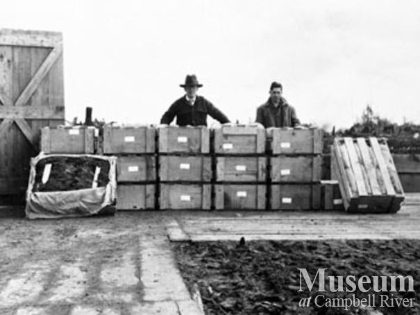 Green Timbers Forestry Station in Surrey