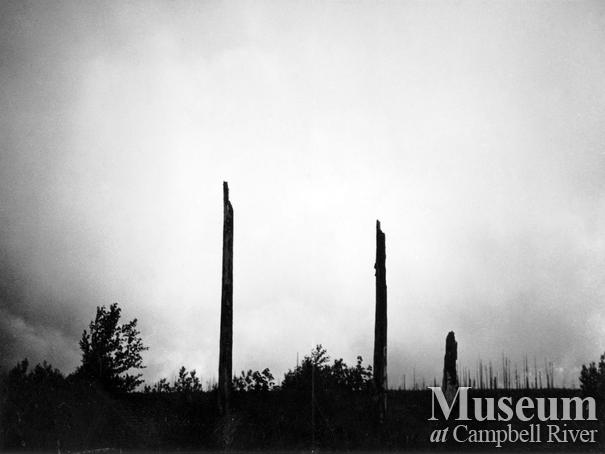 Aftermath of 1925 Quadra Island forest fire