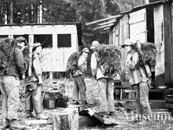 Reforestation at Knox Bay on Thurlow Island 