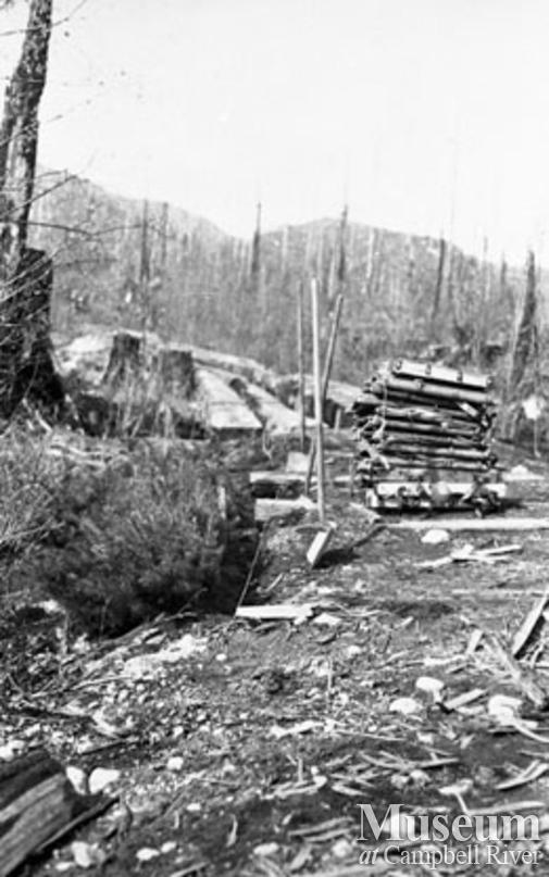 Reforestation at Knox Bay on Thurlow Island 