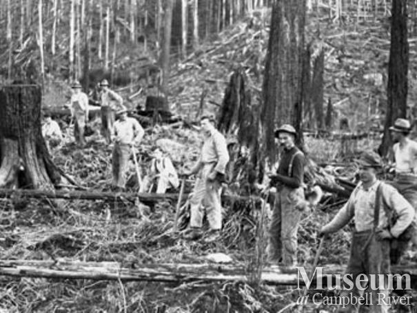 Reforestation at Knox Bay on Thurlow Island 