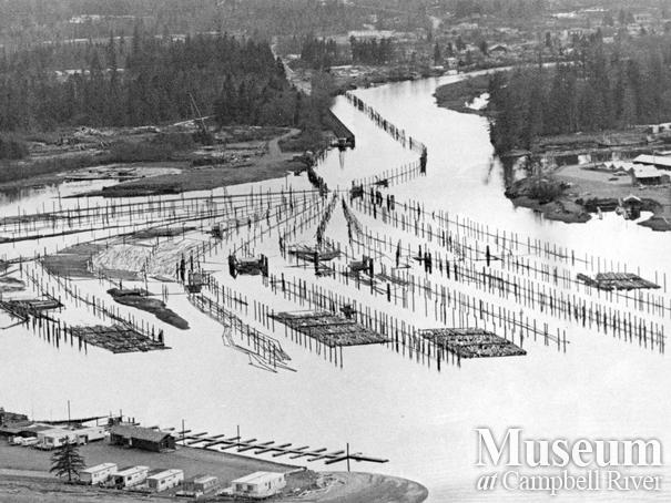 Elk River Timber Co. booming grounds
