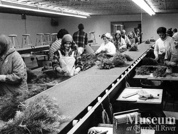 Bundling trees at the Campbell River Nursery