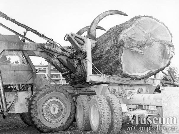 Raven Lumber operations