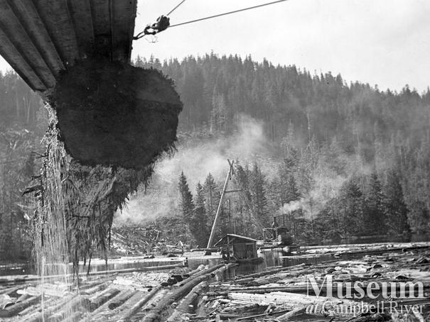 Byles and Groves logging