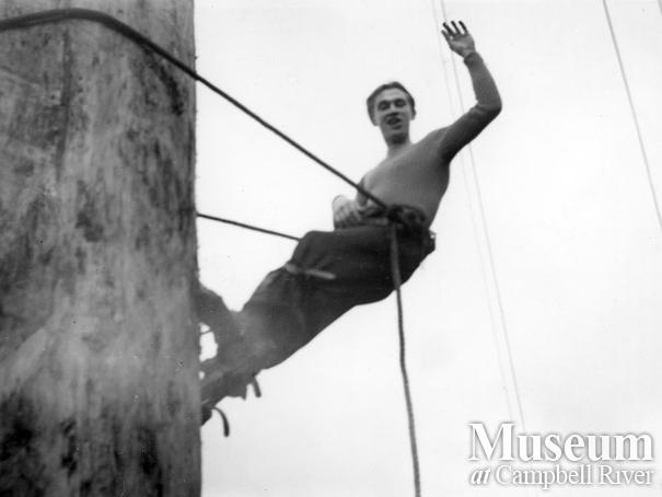 Byles and Groves Logging