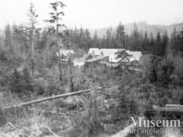 Reforestation camp 31