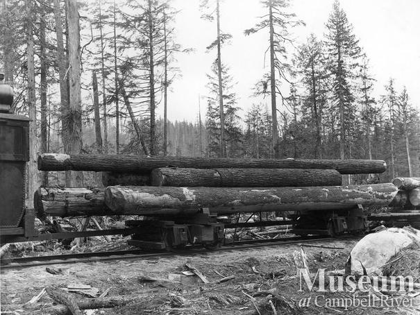 A loaded log train near Rock Bay area